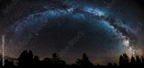 Night sky filled with stars including the core of the Milky Way with pine trees silhouetted on the horizon.  Andromeda galaxy under the Milky Way.