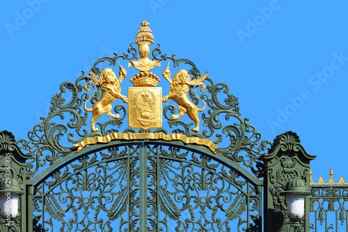 Gate and fence with lions against the blue sky in Saint Petersburg, Russia photo