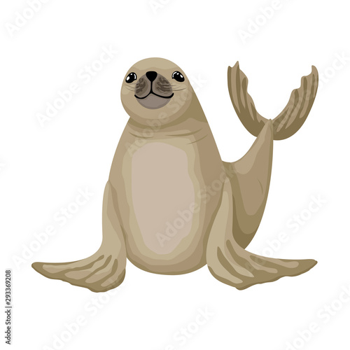 Cheerful little fur seal. Vector isolated animal character on white background