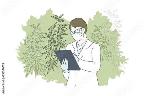 Herbal alternative medicine concept. A young man or guy grows cannabis or marijuana cultivation and checking and analizing hemp plants. Vector flat design.