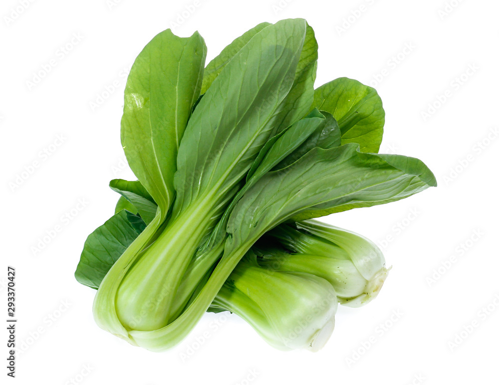 Chinese Vegetable cabbage on white background Chinese Vegetable cabbage on white background