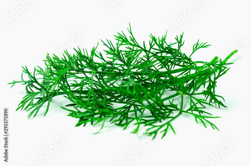 Dill leaves closeup on white background