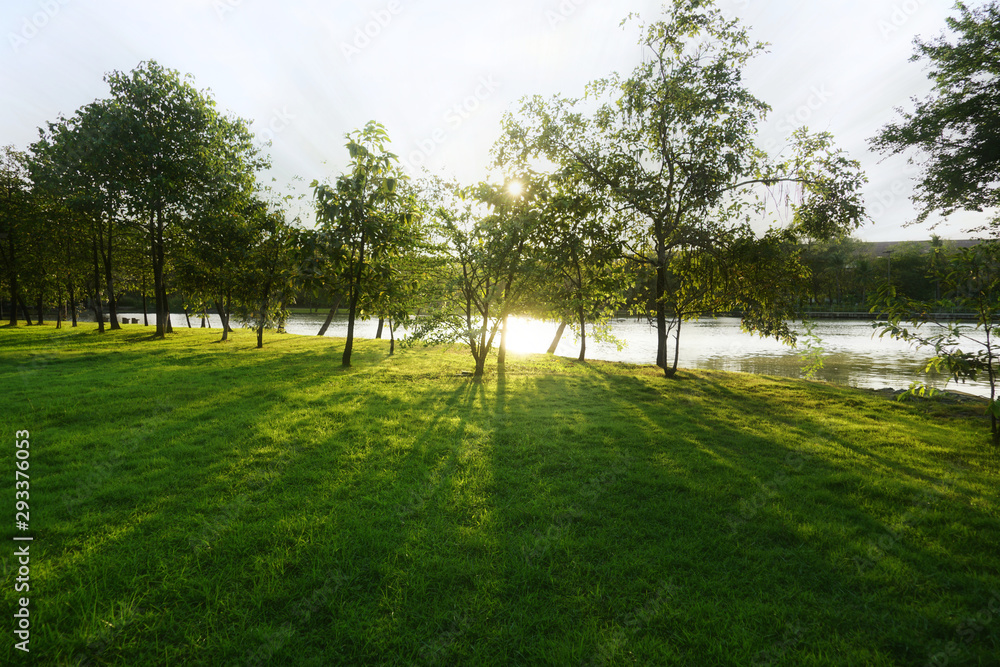 Beautiful scenery trees greenery park and fresh green lawn with lake and sunlight beam in sky background, morning or evening time sunshine day.