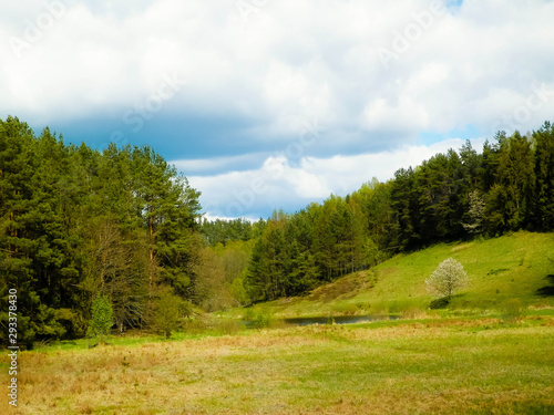 Forest and meadows - Beauty of Kashubia, Poland.