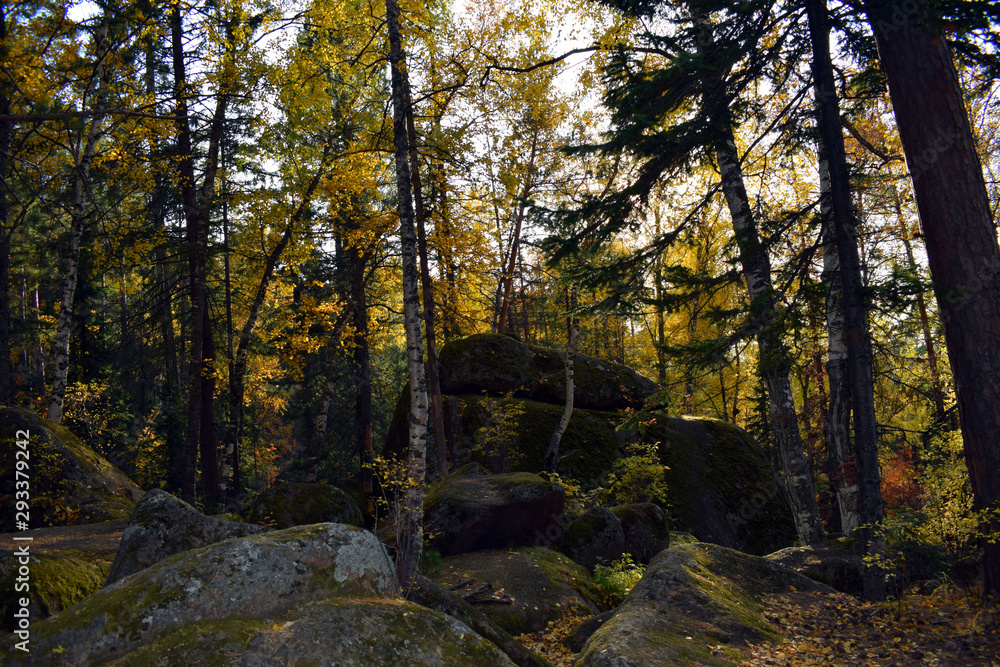 Obraz premium Krasnoyarsk nature reserve 