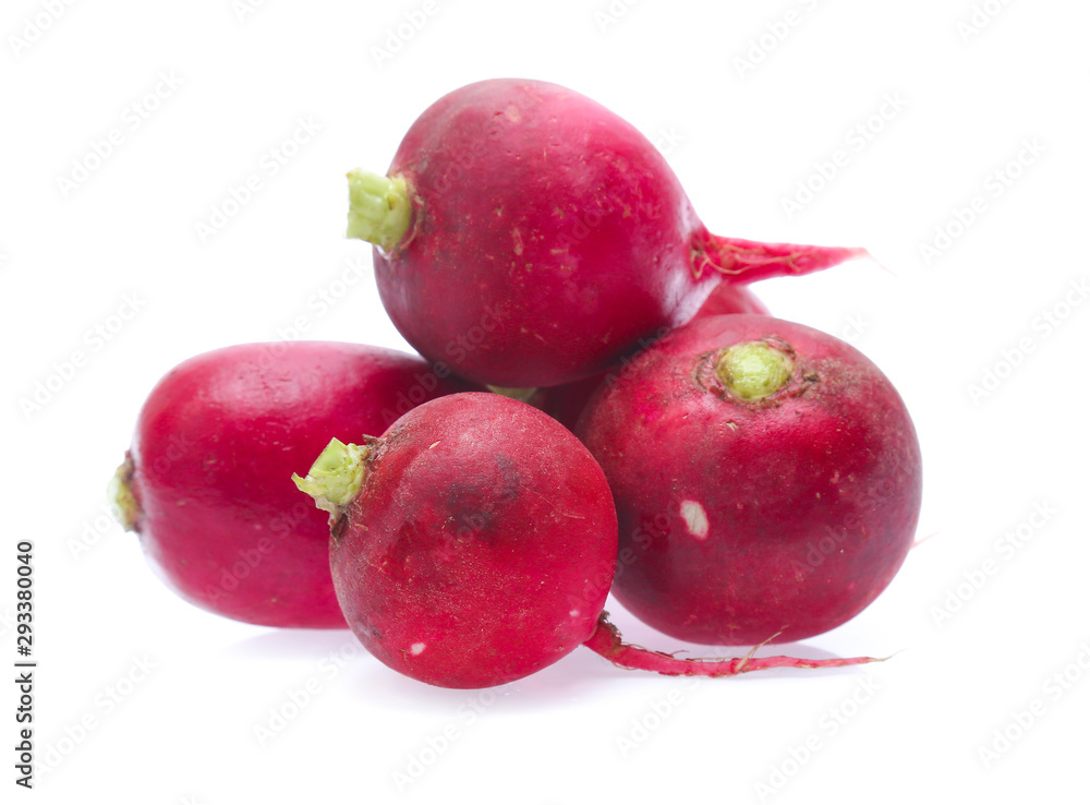 Small garden radish isolated on white background Small garden radish isolated on white background