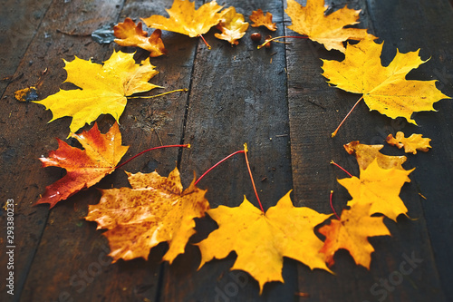 frame of autumn maple leaves on a wooden background © barddim