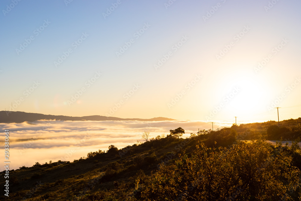 Misty Morning Sunrise in rural South Africa Misty Morning Sunrise in rural South Africa