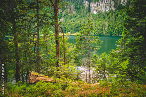 Blick auf den Feldsee photo