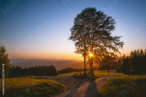 Sonnenuntergang am Hornberger Eichstock