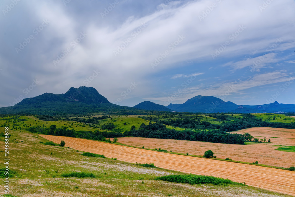 Harvester. Farmland, sloping fields on a bright and Sunny day in summer. Cultivation of bread and production of natural food.