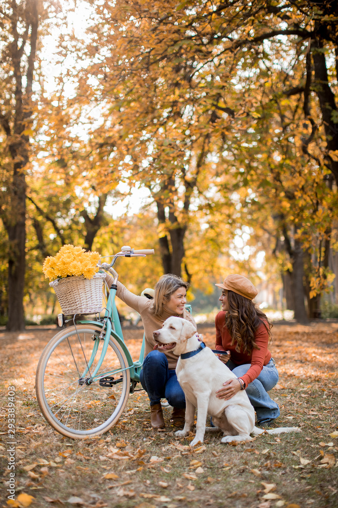 Two female friends walking in the yellow autumn park with dog and bicycle Two female friends walking in the yellow autumn park with dog and bicycle