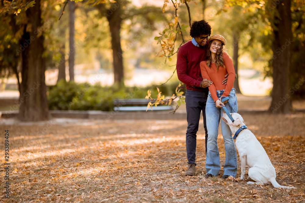 Fototapeta premium Multiracial couple walking with dog in autumn park