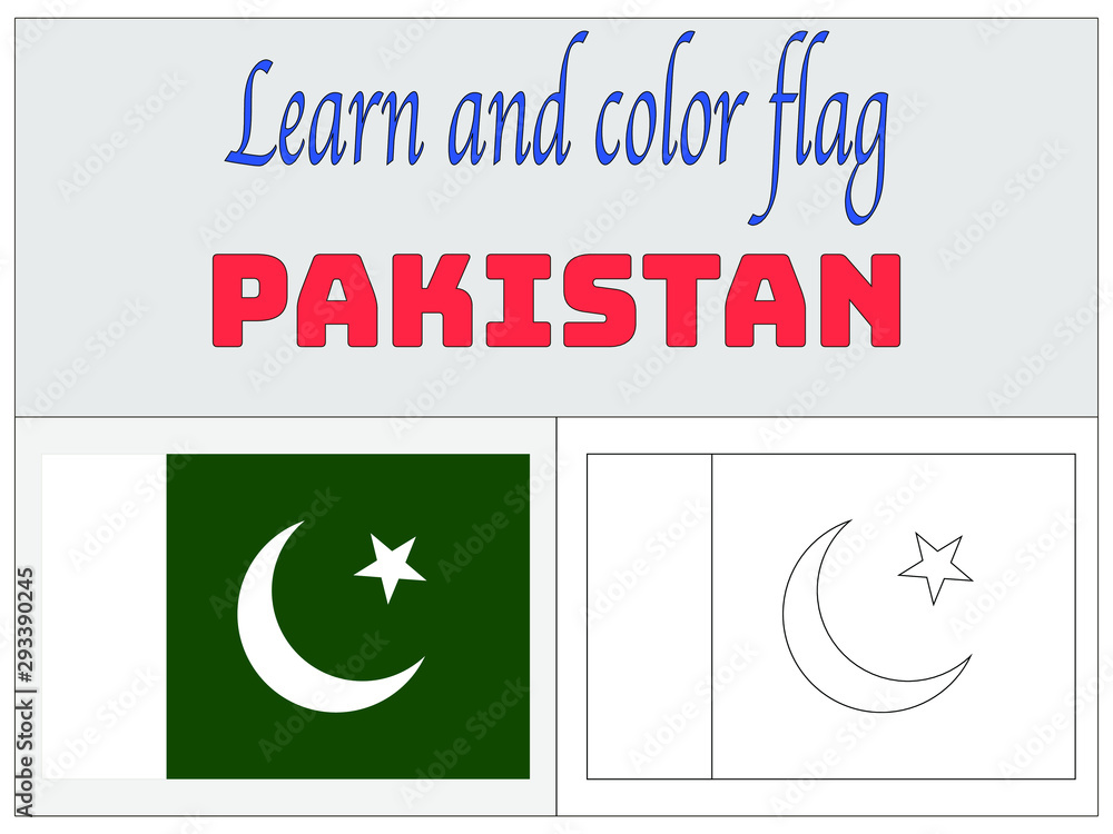 Pakistan Flag Icon - Free PNG & SVG 2429542 - Noun Project