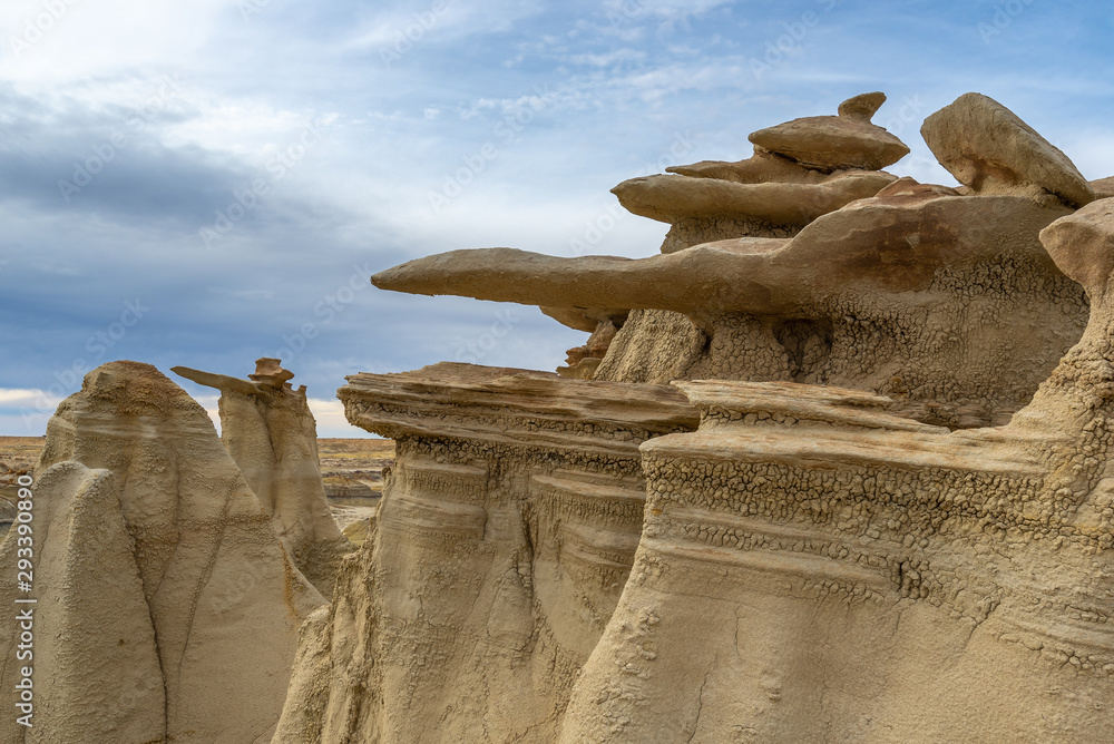 Bisti/De-Na-Zin Wilderness Area, New Mexico, USA