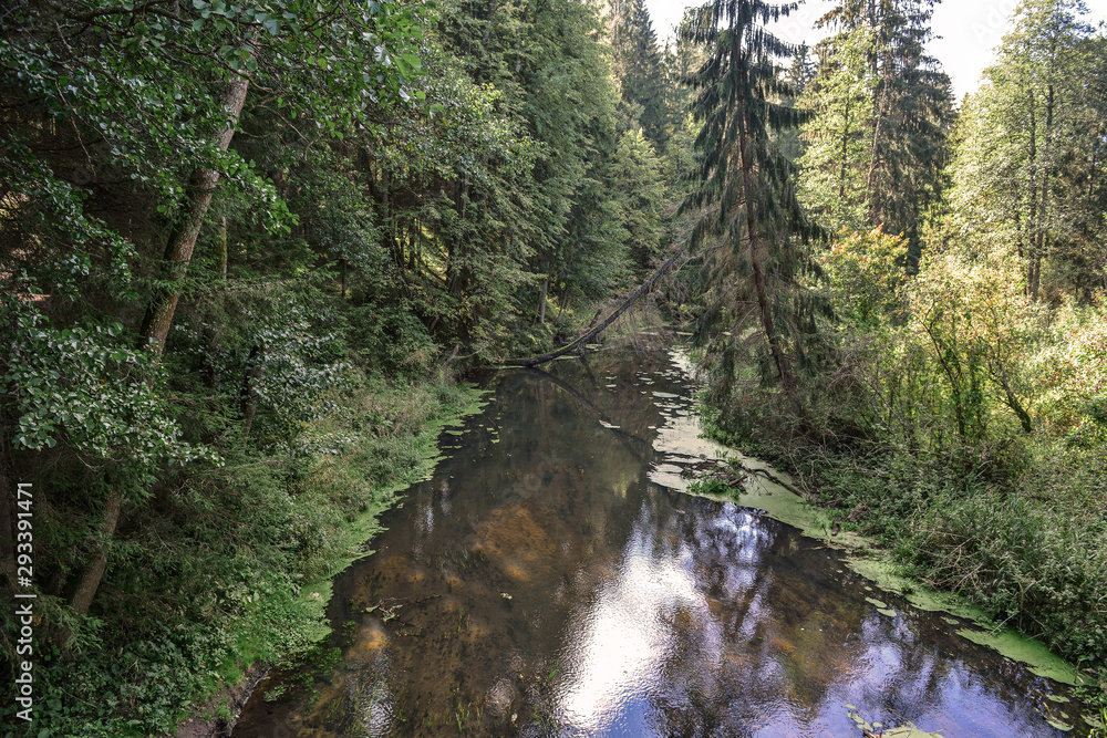 waterfall in the forest