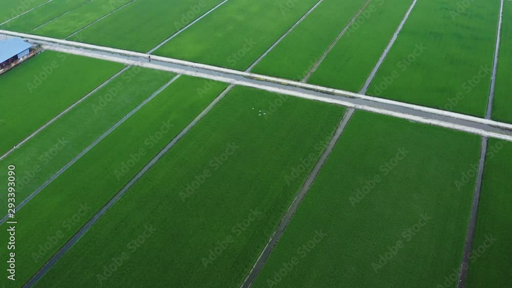 Aerial view of green paddy fields located in Sekinchan, Malaysia which is one of the largest rice producers Aerial view of green paddy fields located in Sekinchan, Malaysia which is one of the largest rice producers