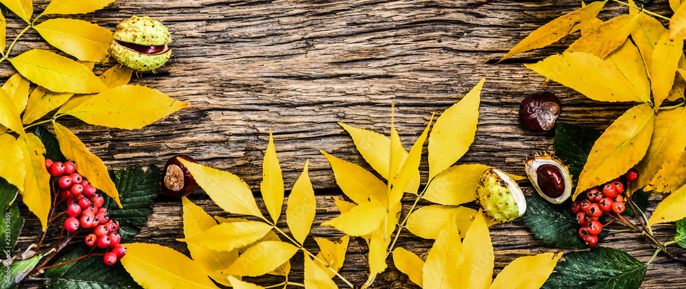 Yellow autumn leaves on a wooden background - obrazy, fototapety, plakaty 