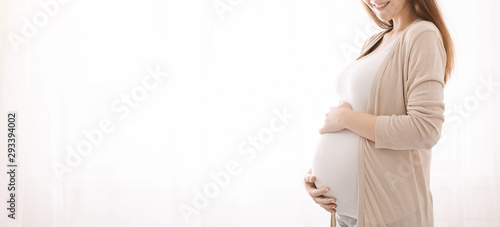 Pregnant woman caressing her belly, white panorama background