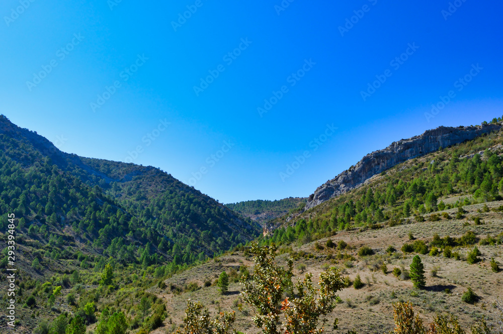Fototapeta premium Landscape in the mountain in summer