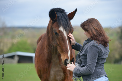 Fotótapéta Pretty young woman strokinh the head of her beautiful bay horse as they share a emotional moment