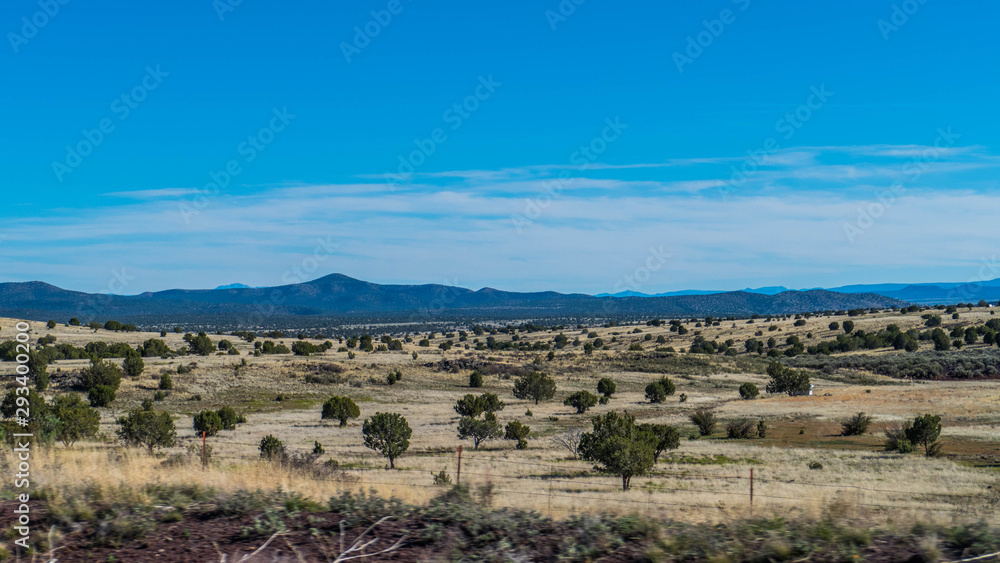 Different landscapes with trees, grasses and a blue sky