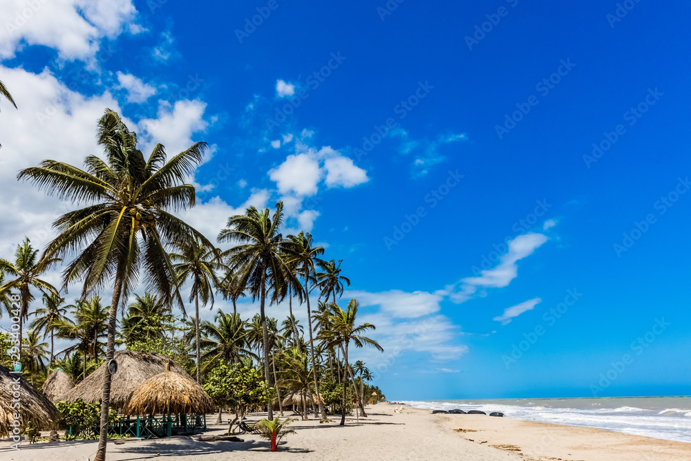 Palomino beach at La Guajira in Colombia South America - obrazy, fototapety, plakaty 