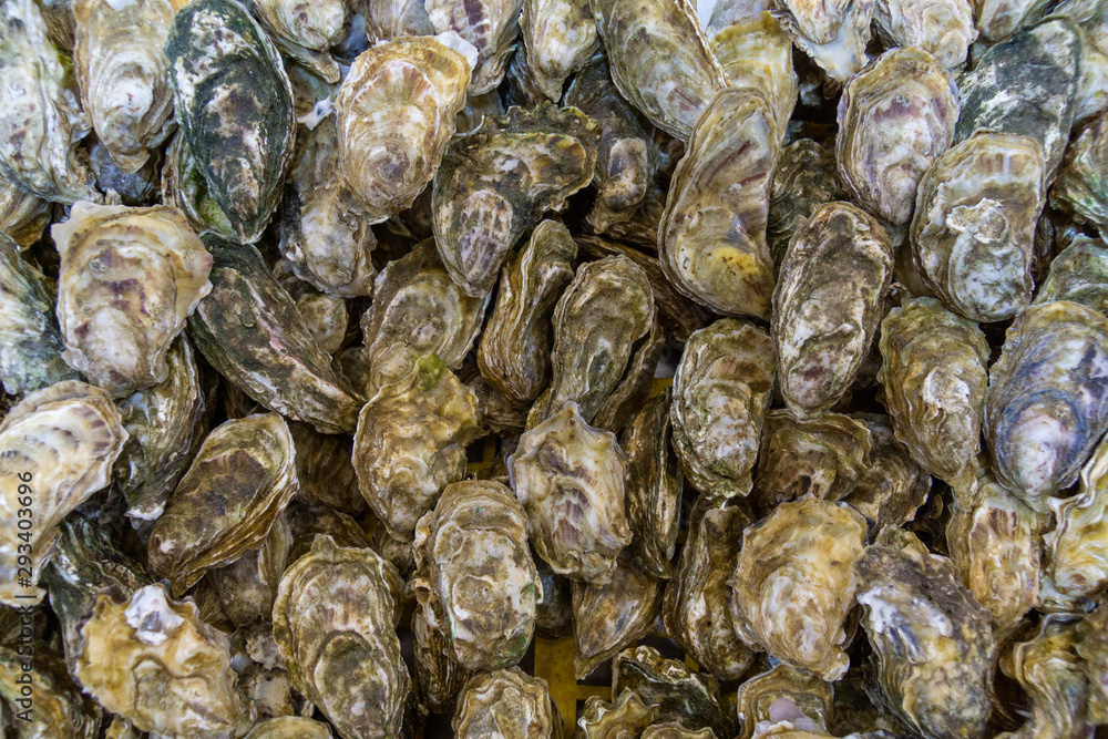 Huîtres - Fruits de mer au marché Huîtres - Fruits de mer au marché