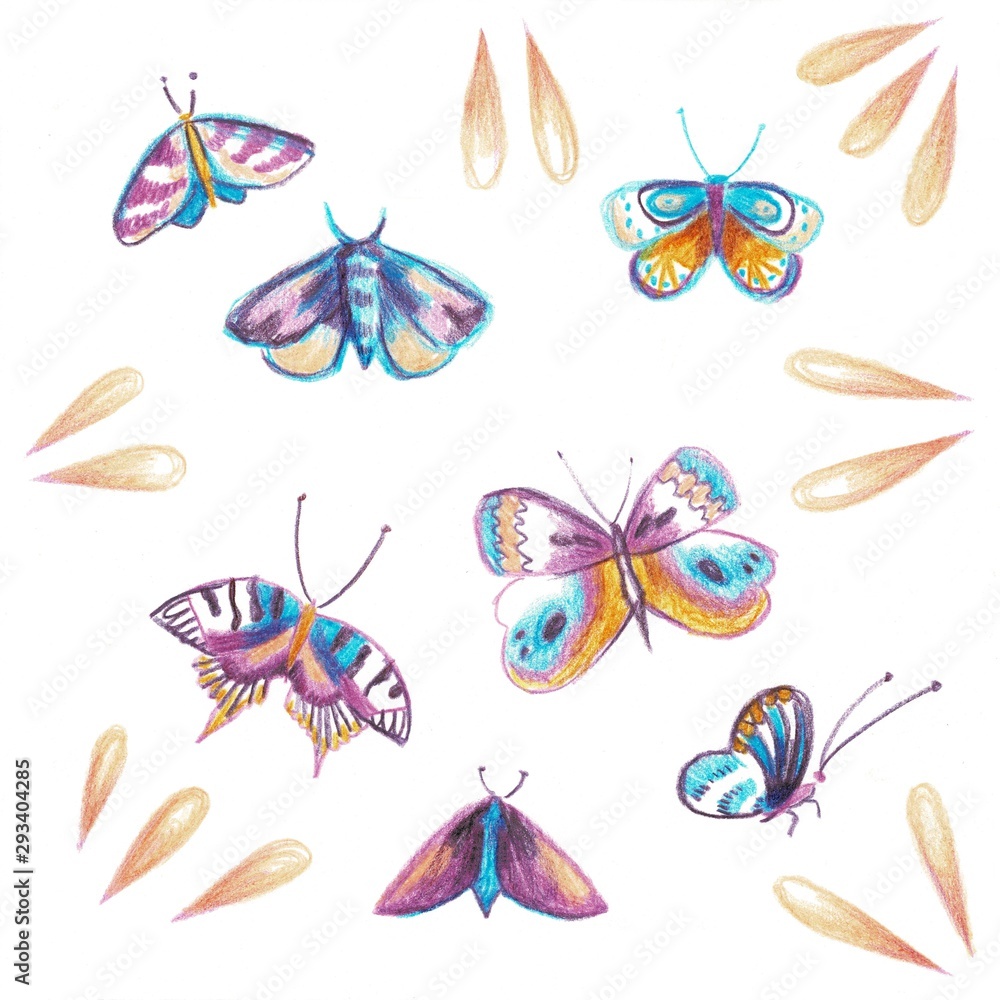 Obraz premium set of butterflies, dragonfly. Illustration in purple hand drawing