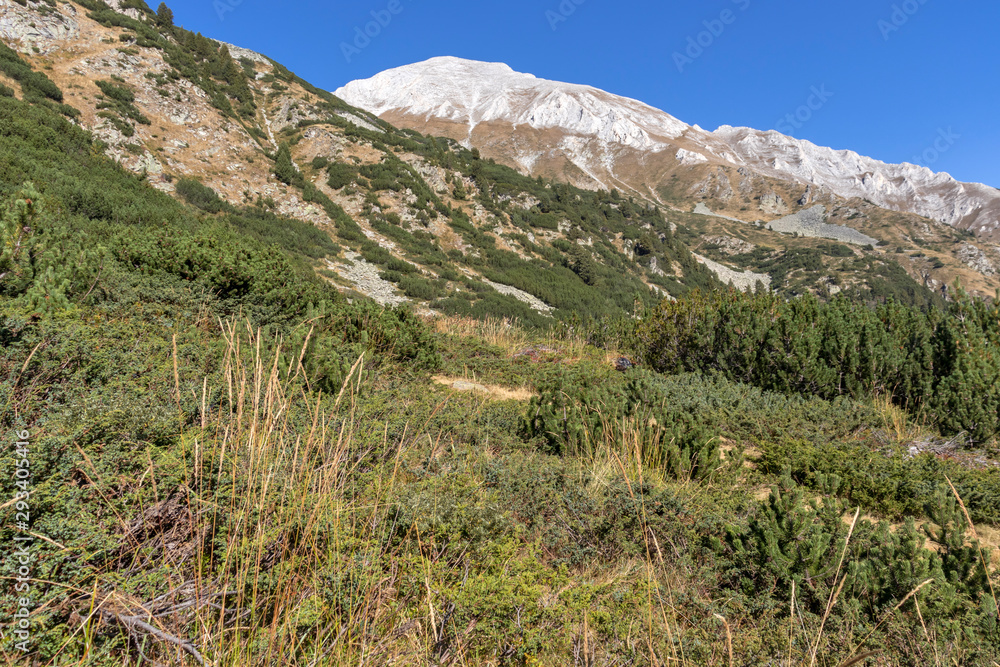 Landscape with Vihren Peak, Pirin Mountain
