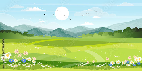 Panorama view of spring village with green meadow on hills with blue sky, Vector cartoon Spring or Summer landscape, Panoramic countryside landscape mountains with wild flowers fields