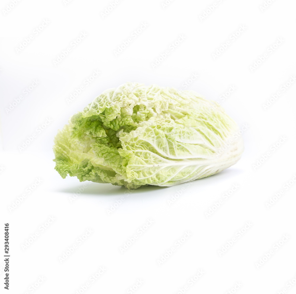 chinese cabbage on a white background chinese cabbage on a white background