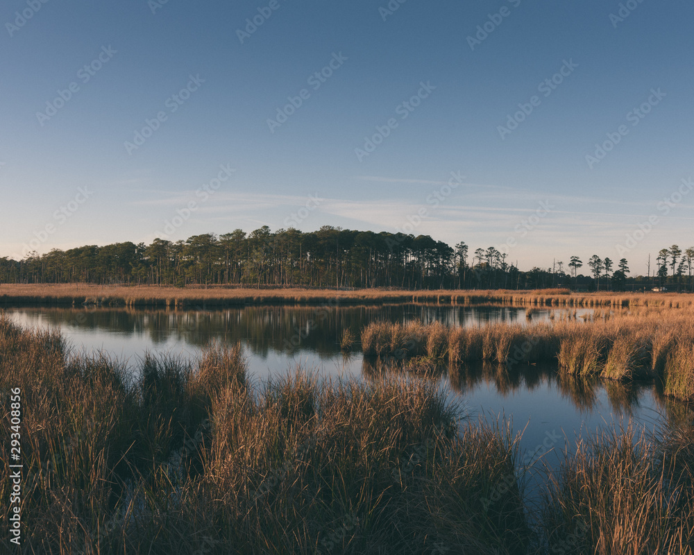 Fall landscape