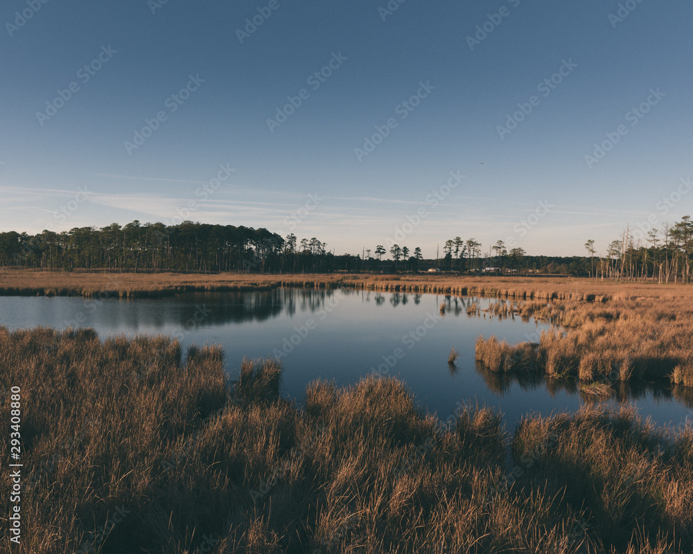 Fall landscape
