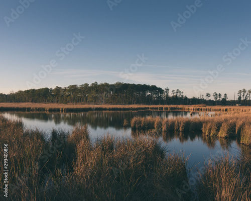 Obraz na płótnie Fall landscape w salonie