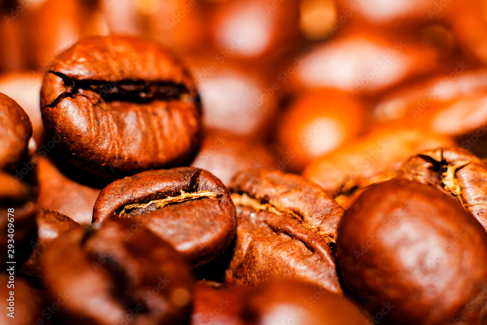  coffee beans closeup