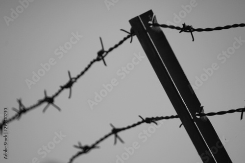 barbed wire on background of blue sky