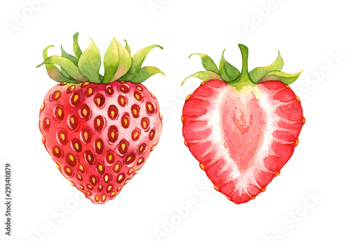 Isolated watercolor strawberry