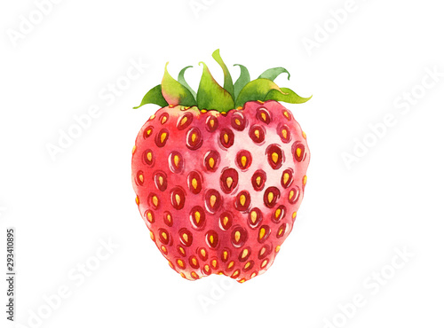 Isolated watercolor strawberry