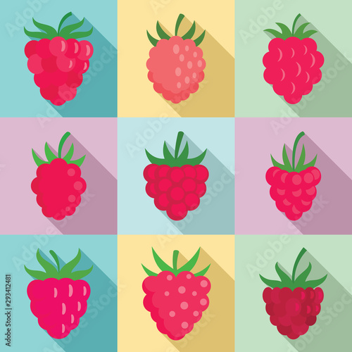 Raspberry icons set. Flat set of raspberry vector icons for web design