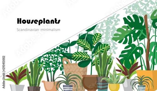 Collection of decorative houseplants isolated on white background. Bundle of trendy plants growing in pots or planters. Set of beautiful natural home decorations. Flat colorful vector illustration.