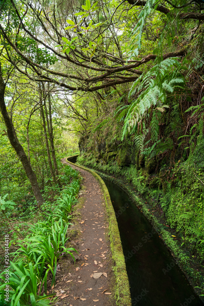 Fototapeta premium Levada - a term that is inextricably linked with Madeira. These are artificial water channels on the island