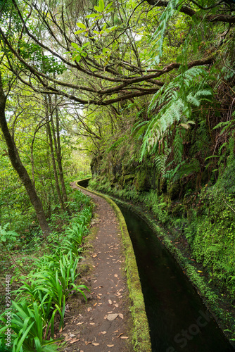 Levada - a term that is inextricably linked with Madeira. These are artificial water channels on the island