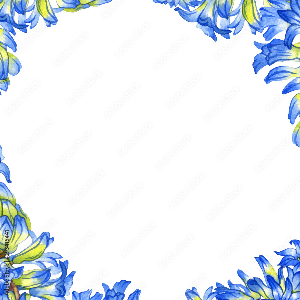 Watercolor frame with blue hyacinth flowers Watercolor frame with blue hyacinth flowers