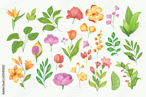 Beautiful vintage hand drawn floral vector collection photo