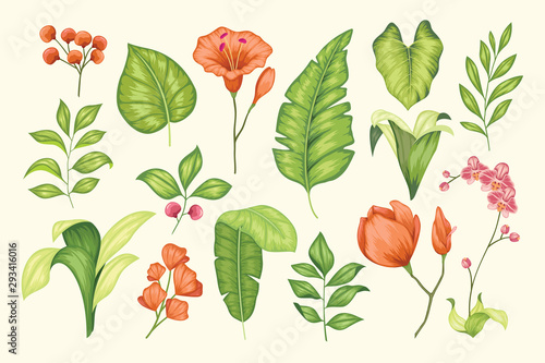 Beautiful vintage hand drawn floral vector collection