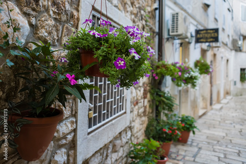 A narrow street in the ancient city. Fragment of the stone wall of the building with hanging pots of flowers. Selective focus.