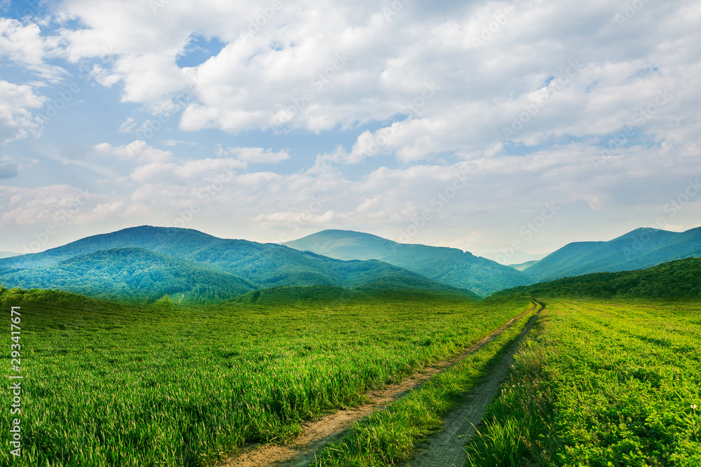 Fototapeta premium Mountain landscape. Beautiful green field