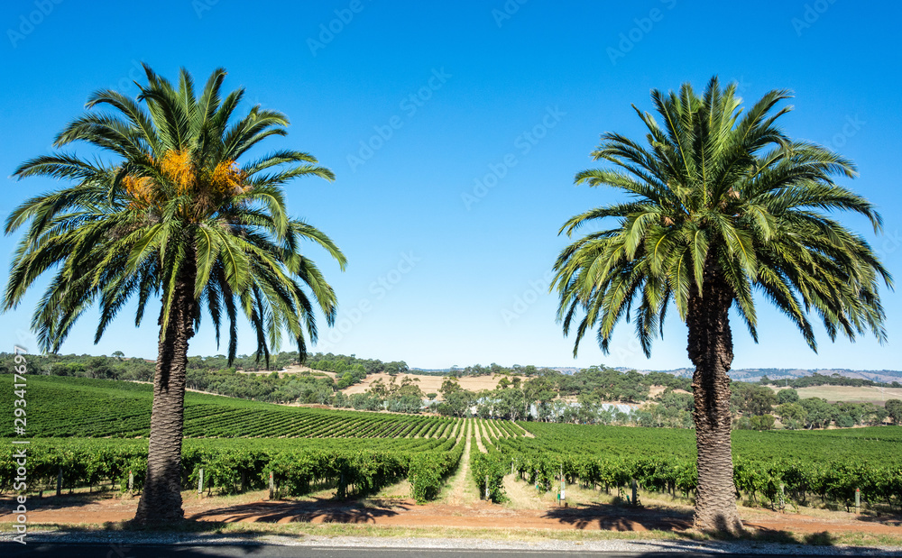 Winery in Barossa Valley in South Australia Winery in Barossa Valley in South Australia