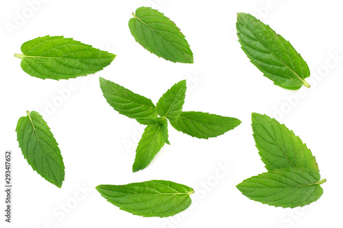 Fresh mint leaves isolated on white background © Tatiana